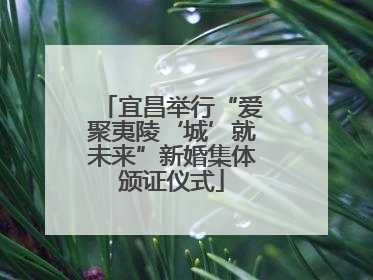 宜昌举行“爱聚夷陵‘城’就未来”新婚集体颁证仪式