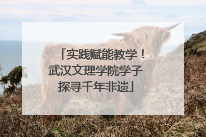 实践赋能教学！武汉文理学院学子探寻千年非遗