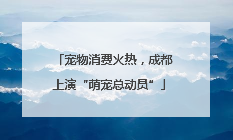 宠物消费火热，成都上演“萌宠总动员”