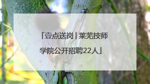 壹点送岗│莱芜技师学院公开招聘22人