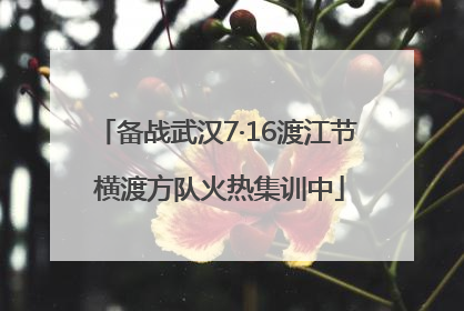 备战武汉7·16渡江节 横渡方队火热集训中