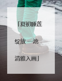 夏初睡莲绽放 一池清雅入画