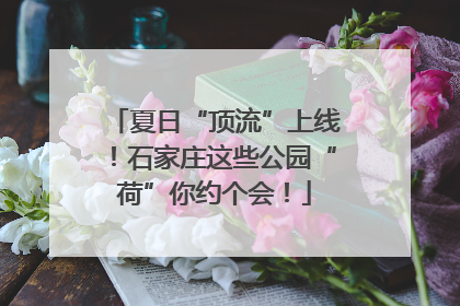 夏日“顶流”上线！石家庄这些公园“荷”你约个会！
