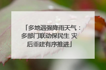 多地遇强降雨天气：多部门联动保民生 灾后重建有序推进