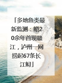 多地鱼类最新监测：鳤20余年首现赣江，泸州一网捞起67条长江鲟