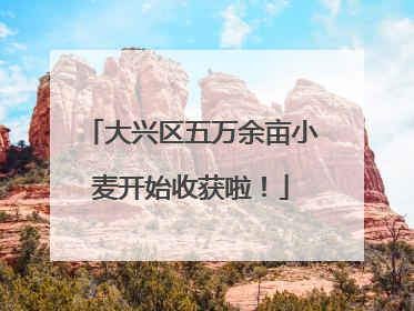 大兴区五万余亩小麦开始收获啦！