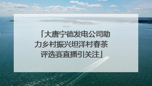 大唐宁德发电公司助力乡村振兴坦洋村春茶评选赛直播引关注