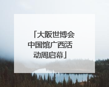 大阪世博会中国馆广西活动周启幕
