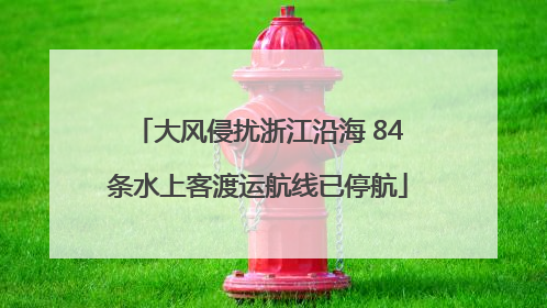 大风侵扰浙江沿海 84条水上客渡运航线已停航