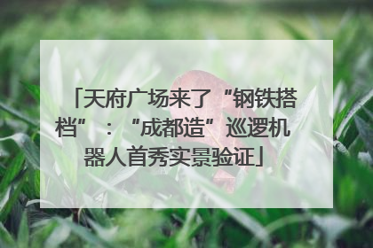 天府广场来了“钢铁搭档”：“成都造”巡逻机器人首秀实景验证