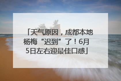天气原因，成都本地杨梅“迟到”了！6月5日左右迎最佳口感