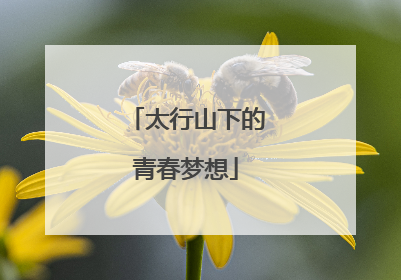 太行山下的青春梦想