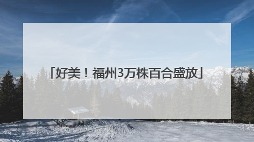 好美！福州3万株百合盛放
