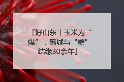 好山东丨玉米为“媒”，禹城与“糖”结缘30余年