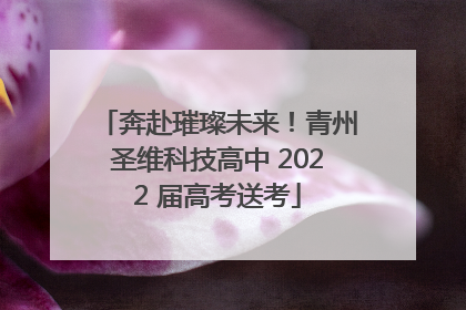 奔赴璀璨未来！青州圣维科技高中 2022 届高考送考