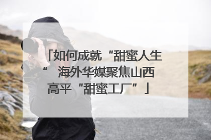 如何成就“甜蜜人生” 海外华媒聚焦山西高平“甜蜜工厂”