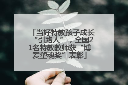 当好特教孩子成长“引路人”，全国21名特教教师获“博爱塑魂奖”表彰