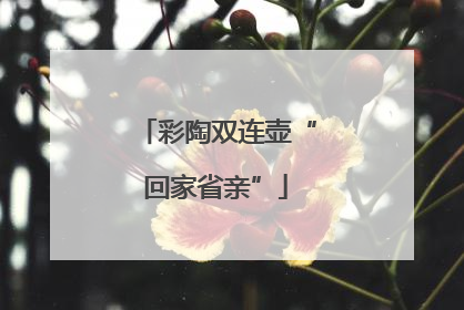 彩陶双连壶“回家省亲”