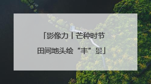 影像力丨芒种时节 田间地头绘“丰”景