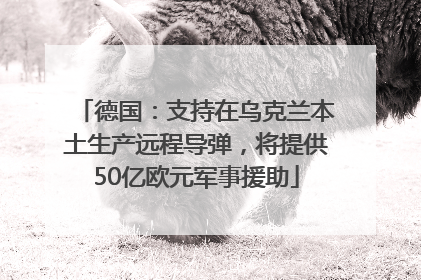 德国：支持在乌克兰本土生产远程导弹，将提供50亿欧元军事援助