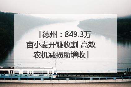 德州：849.3万亩小麦开镰收割 高效农机减损助增收