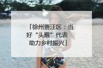 徐州贾汪区：当好“头雁”代表 助力乡村振兴