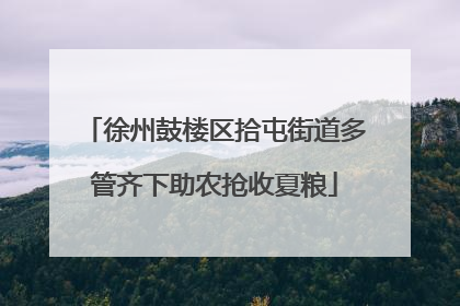 徐州鼓楼区拾屯街道多管齐下助农抢收夏粮