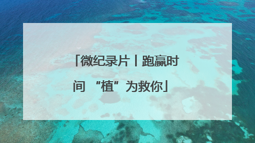 微纪录片丨跑赢时间 “植”为救你