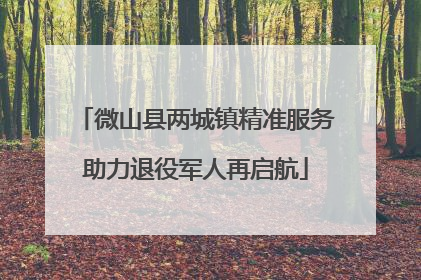 微山县两城镇精准服务助力退役军人再启航