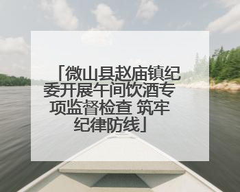 微山县赵庙镇纪委开展午间饮酒专项监督检查 筑牢纪律防线