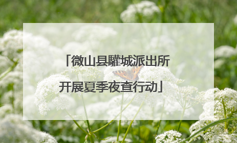 微山县驩城派出所开展夏季夜查行动