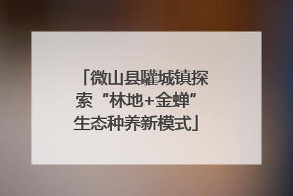 微山县驩城镇探索“林地+金蝉”生态种养新模式