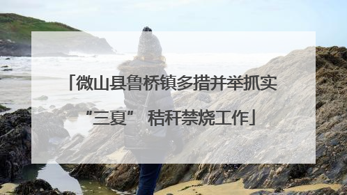 微山县鲁桥镇多措并举抓实 “三夏” 秸秆禁烧工作