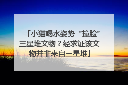 小猫喝水姿势“撞脸”三星堆文物？经求证该文物并非来自三星堆