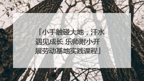 小手触碰大地，汗水遇见成长 乐师附小开展劳动基地实践课程