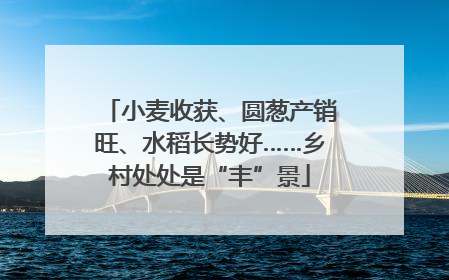 小麦收获、圆葱产销旺、水稻长势好……乡村处处是“丰”景