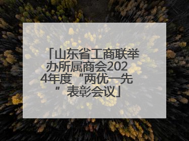 山东省工商联举办所属商会2024年度“两优一先”表彰会议