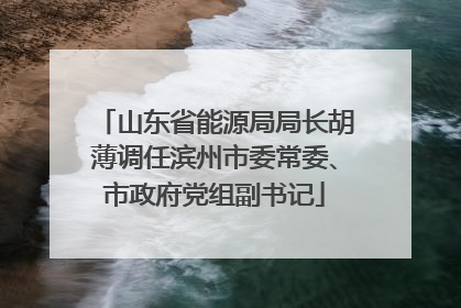 山东省能源局局长胡薄调任滨州市委常委、市政府党组副书记