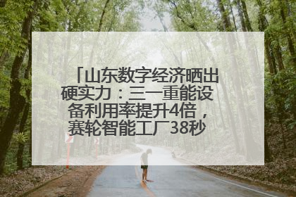 山东数字经济晒出硬实力：三一重能设备利用率提升4倍，赛轮智能工厂38秒生产一条轮胎