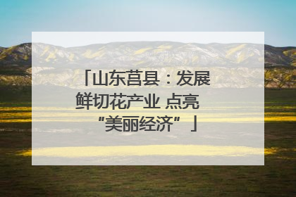 山东莒县：发展鲜切花产业 点亮“美丽经济”