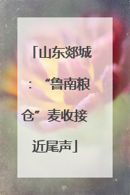 山东郯城：“鲁南粮仓”麦收接近尾声