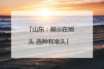 山东：展示在地头 选种有准头