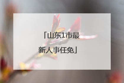 山东1市最新人事任免