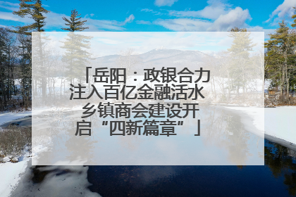 岳阳：政银合力注入百亿金融活水 乡镇商会建设开启“四新篇章”