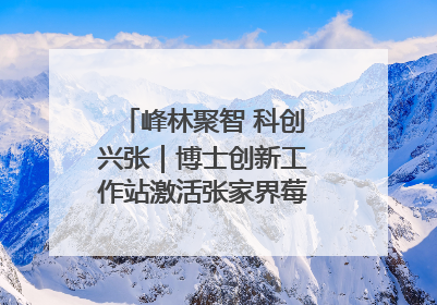 峰林聚智 科创兴张｜博士创新工作站激活张家界莓茶产业新动能