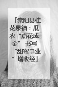 崇阳县桂花泉镇：瓜农“点花成金” 书写“甜蜜事业”增收经