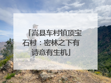 嵩县车村镇顶宝石村：密林之下有诗意有生机