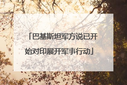巴基斯坦军方说已开始对印展开军事行动