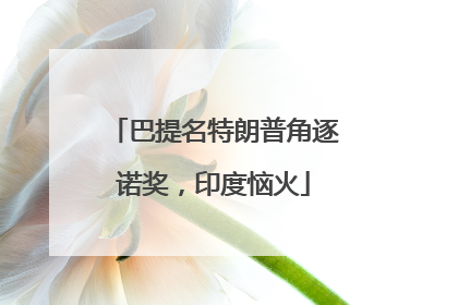 巴提名特朗普角逐诺奖，印度恼火