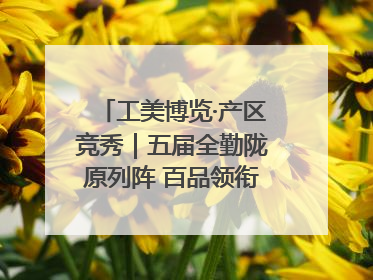 工美博览·产区竞秀｜五届全勤陇原列阵 百品领衔甘肃出彩